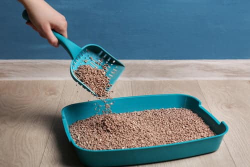 When to change cat litter outlet tray